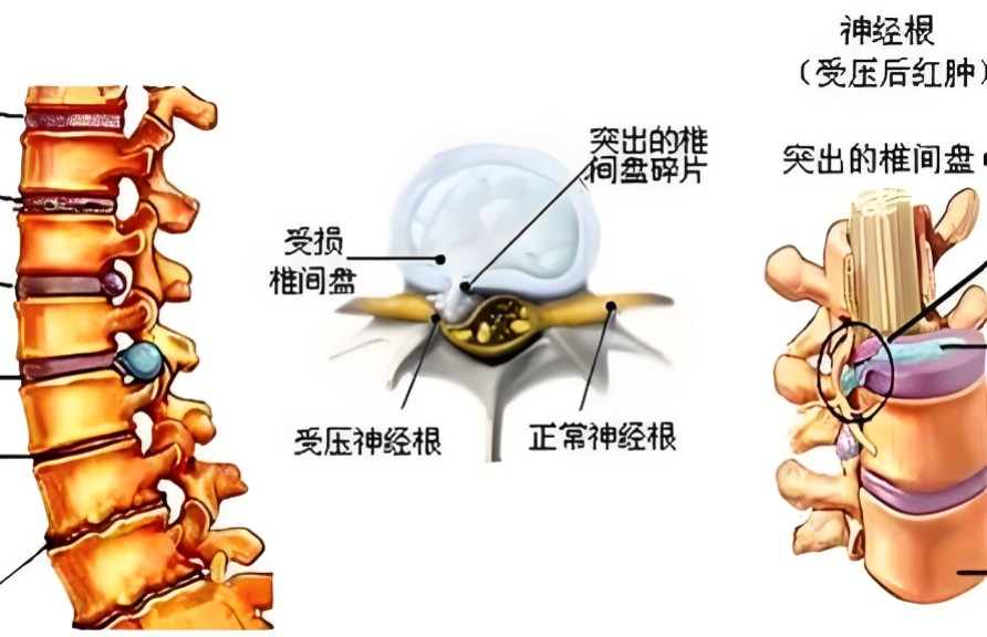 1786437909873216.jpg 屏幕截图 2026-08-11 120004.jpg