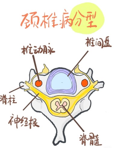 屏幕截图 2026-08-11 130443.jpg