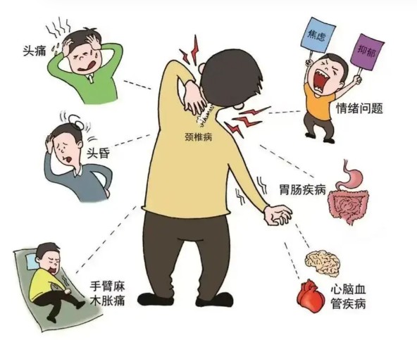 1786442501362596.jpg 屏幕截图 2026-08-11 130858.jpg