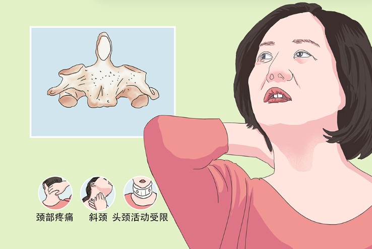 1786442518450814.jpg 屏幕截图 2026-08-11 130926.jpg