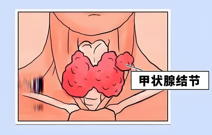 1786445178216628.jpg 屏幕截图 2026-08-11 182509.jpg