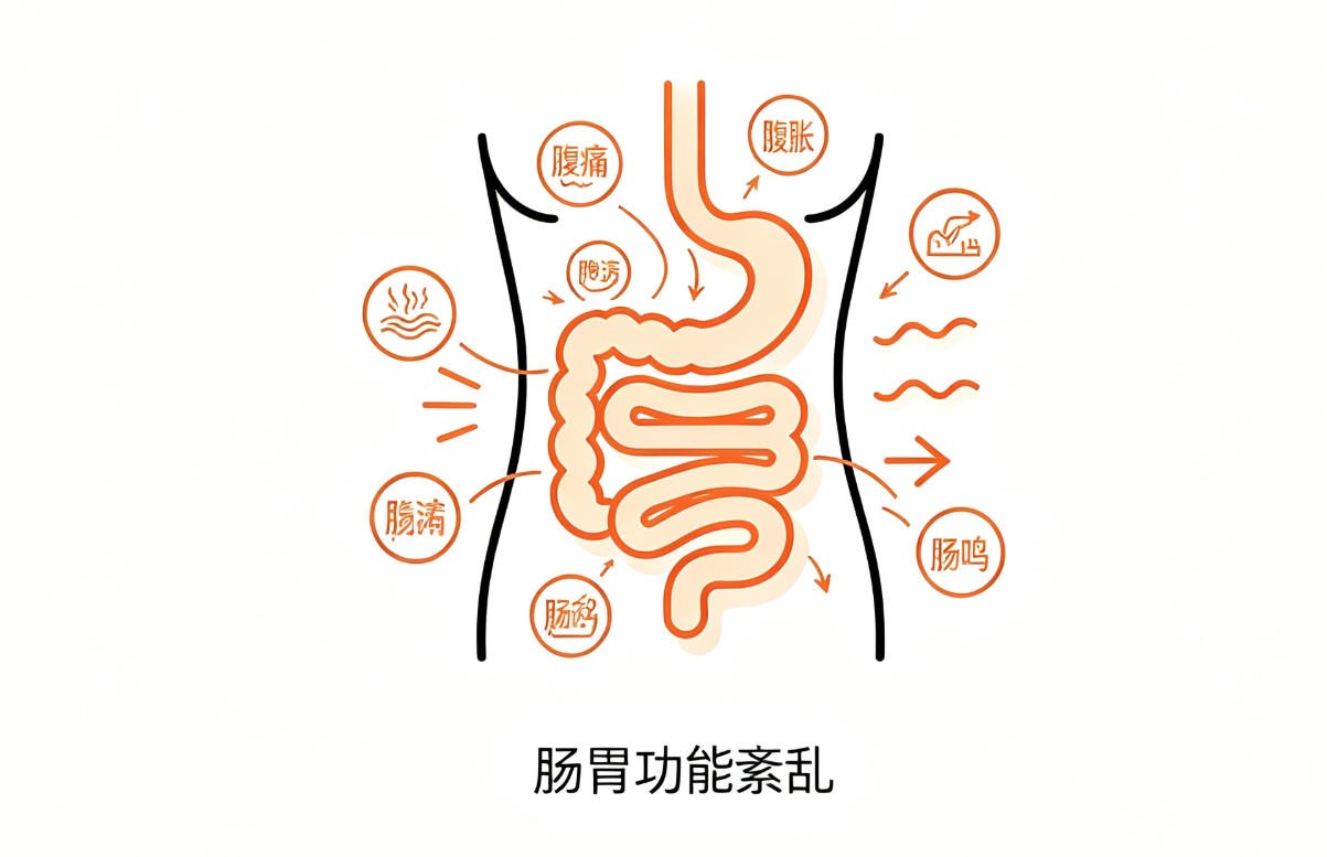 肠胃功能紊乱