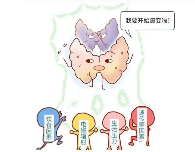 1786516529954257.jpg 屏幕截图 2026-08-12 103003.jpg