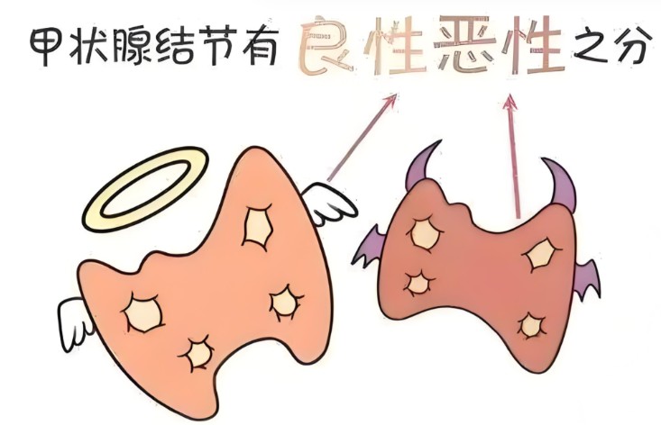屏幕截图 2026-08-12 103113.jpg