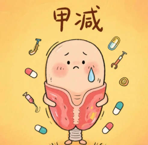 1786516642950858.jpg 屏幕截图 2026-08-12 103336.jpg