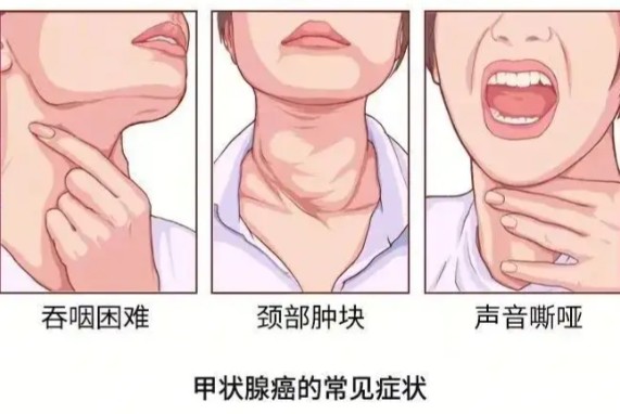 1786516660395234.jpg 屏幕截图 2026-08-12 103515.jpg