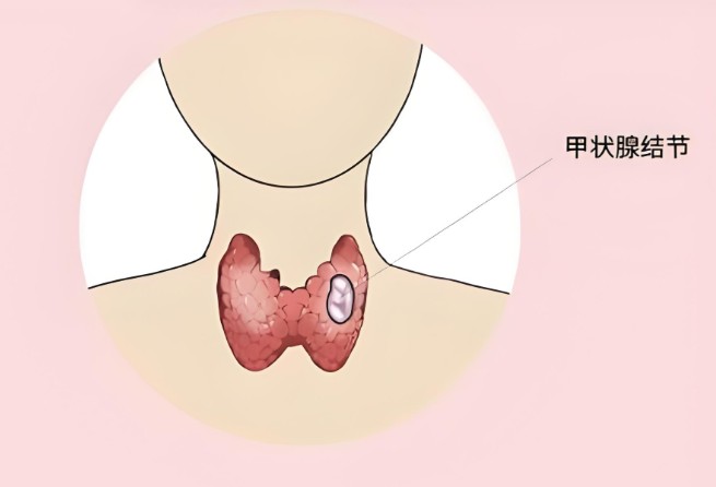1786516718559549.jpg 屏幕截图 2026-08-12 103625.jpg