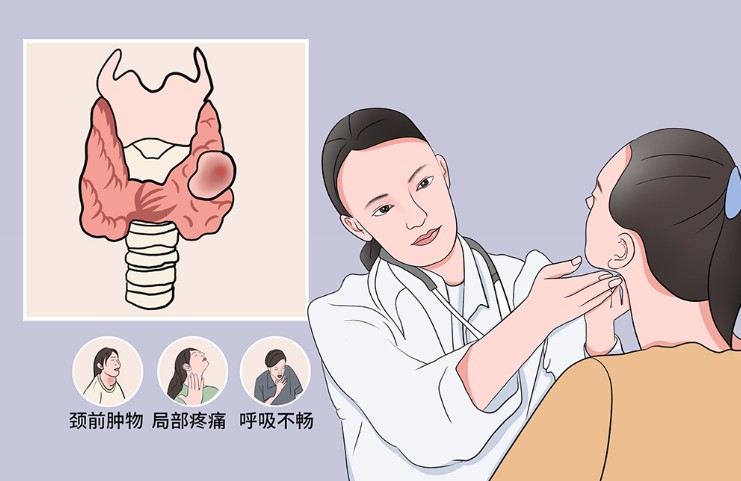 1786516728589334.jpg 屏幕截图 2026-08-12 103736.jpg