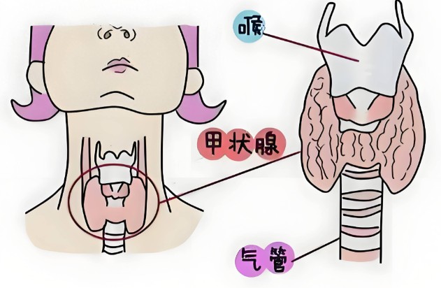 1786516869451940.jpg 屏幕截图 2026-08-12 104759.jpg