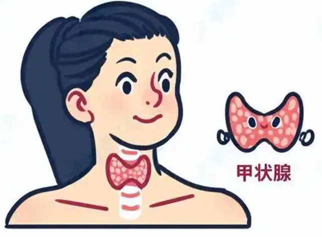 1786516876986561.jpg 屏幕截图 2026-08-12 104826.jpg