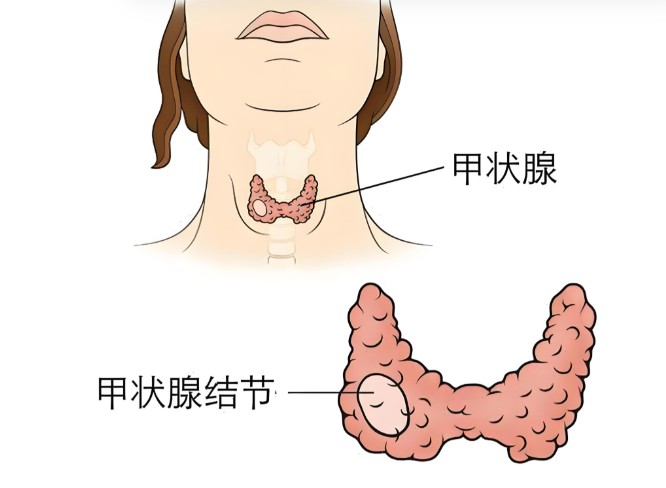 屏幕截图 2026-08-12 105836.jpg