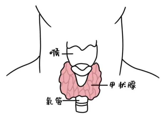 1786523003628661.jpg 屏幕截图 2026-08-12 113018.jpg