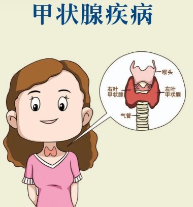 1786523060634538.jpg 屏幕截图 2026-08-12 113249.jpg
