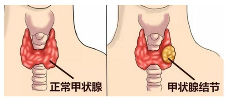 1786523115865731.jpg 屏幕截图 2026-08-12 113406.jpg
