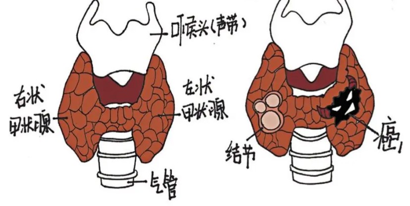 1786523123951569.jpg 屏幕截图 2026-08-12 113447.jpg