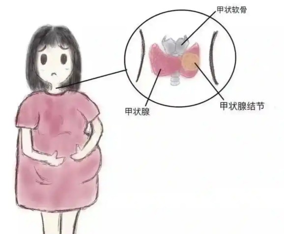 1786523188744987.jpg 屏幕截图 2026-08-12 114053.jpg