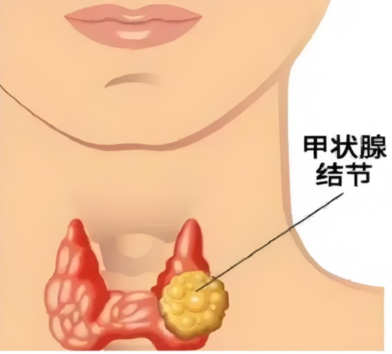 屏幕截图 2026-08-12 114304.jpg