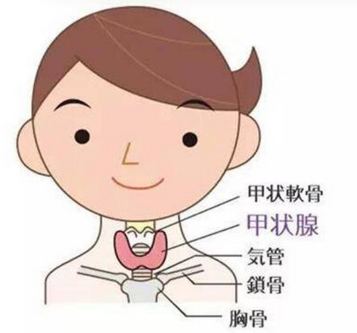 1786523341317542.jpg 屏幕截图 2026-08-12 120302.jpg
