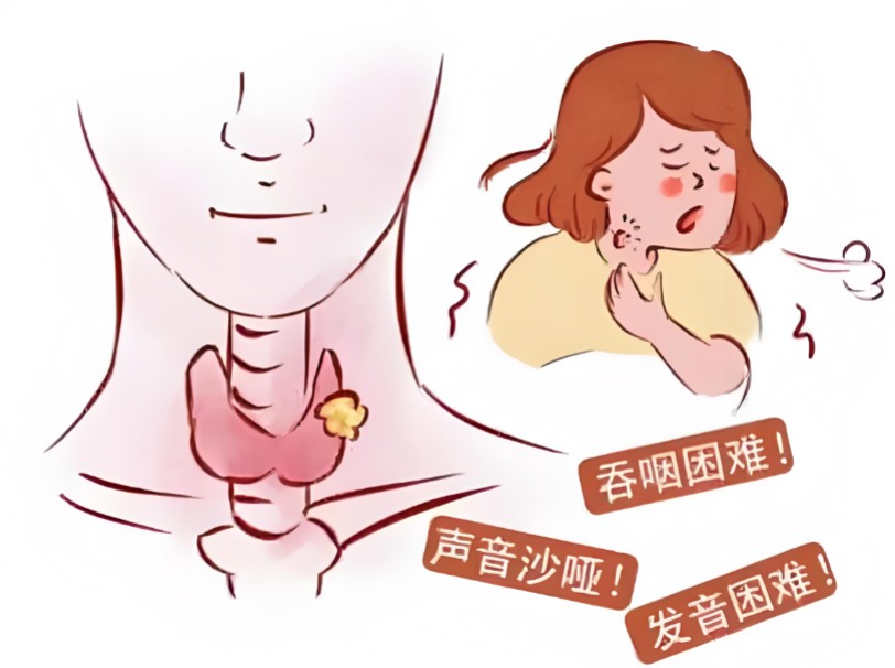 1786523349142126.jpg 屏幕截图 2026-08-12 120401.jpg