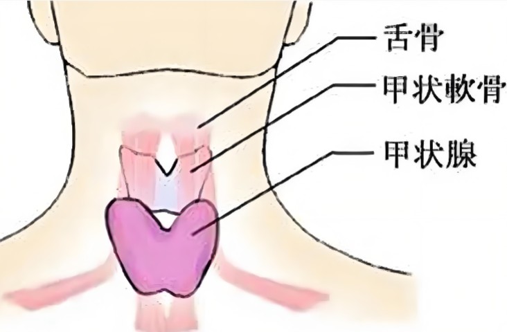 1786526822345406.jpg 屏幕截图 2026-08-12 125343.jpg
