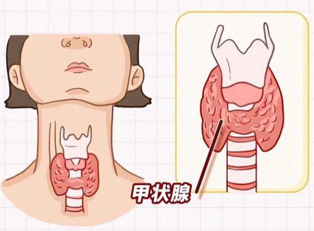 屏幕截图 2026-08-12 125559.jpg
