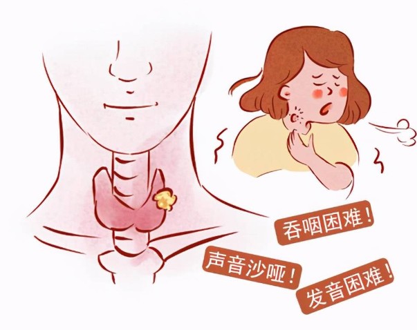 1786530115269487.jpg 屏幕截图 2026-08-12 144919.jpg