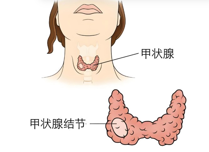 1786530130824562.jpg 屏幕截图 2026-08-12 145007.jpg
