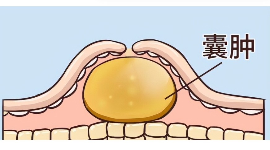 1786531565229829.jpg 屏幕截图 2026-08-12 184417.jpg