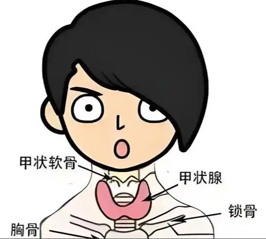 1786531571758527.jpg 屏幕截图 2026-08-12 184458.jpg