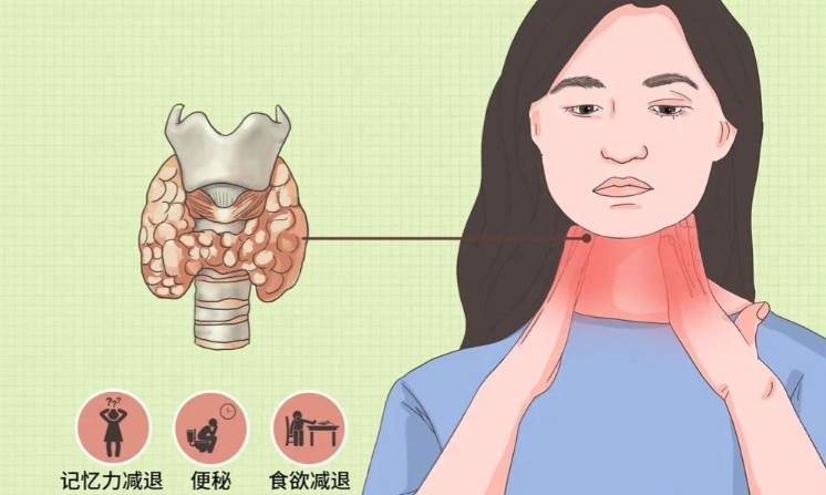 1786599125192603.jpg 屏幕截图 2026-08-13 103326.jpg