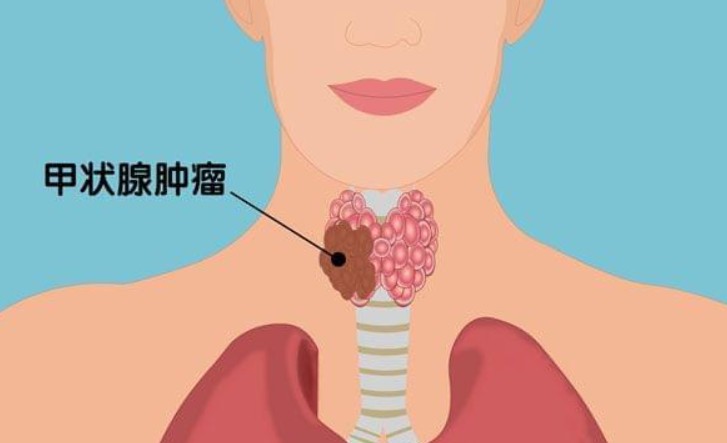 1786599523517295.jpg 屏幕截图 2026-08-13 103712.jpg