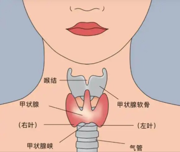 1786600000783756.jpg 屏幕截图 2026-08-13 104330.jpg