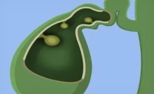 1786600159945094.jpg ScreenShot_2026-08-13_133447_967.jpg