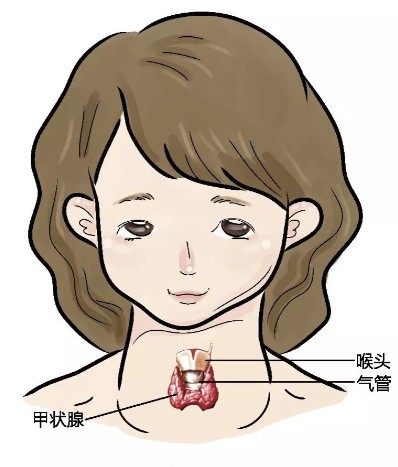 1786600274814989.jpg 屏幕截图 2026-08-13 104510.jpg