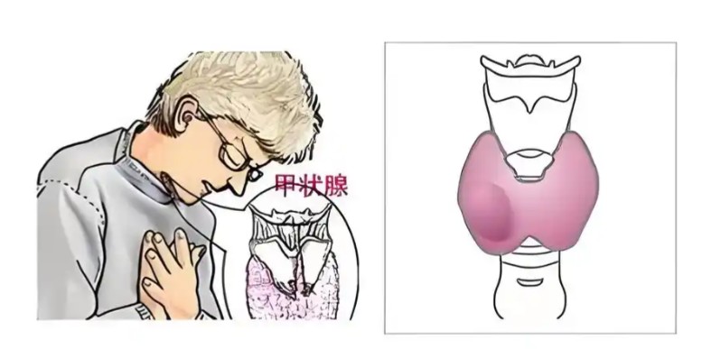 1786600300822502.jpg 屏幕截图 2026-08-13 105111.jpg