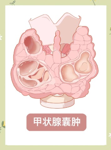 1786600947730450.jpg 屏幕截图 2026-08-12 144853.jpg