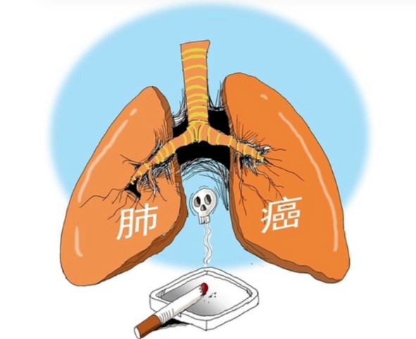 1786604326121677.jpg 屏幕截图 2026-08-13 105545.jpg