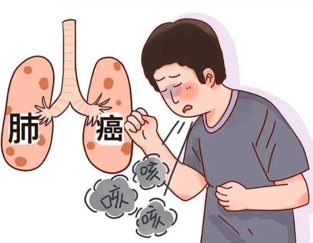 1786606125572549.jpg 屏幕截图 2026-08-13 110823.jpg