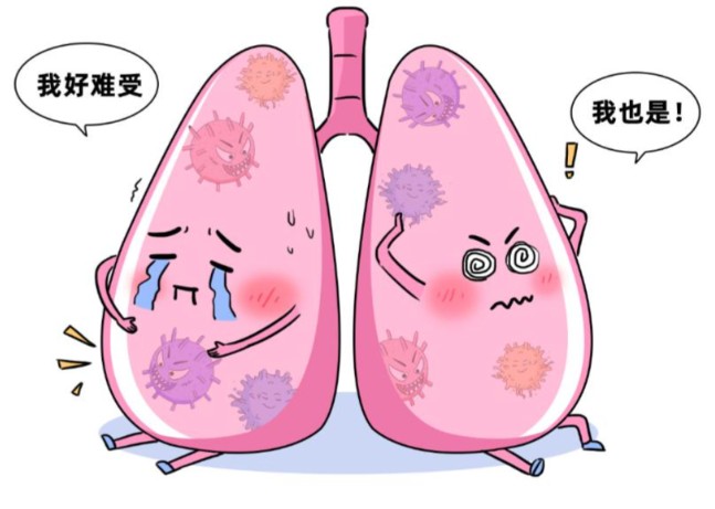 1786610805453909.jpg 屏幕截图 2026-08-13 112001.jpg