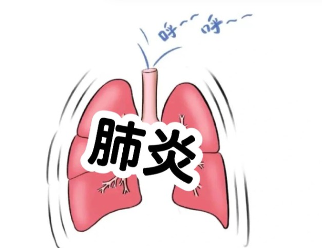 1786611171371840.jpg 屏幕截图 2026-08-13 112512.jpg