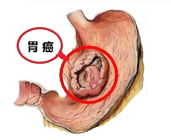 1786615091957882.jpg 屏幕截图 2026-08-13 143812.jpg