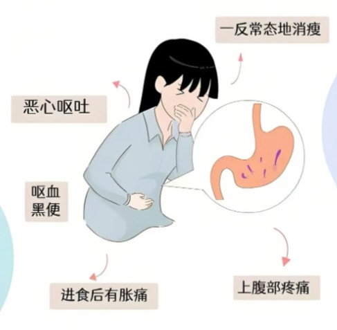 1786616725548442.jpg 屏幕截图 2026-08-13 144005.jpg