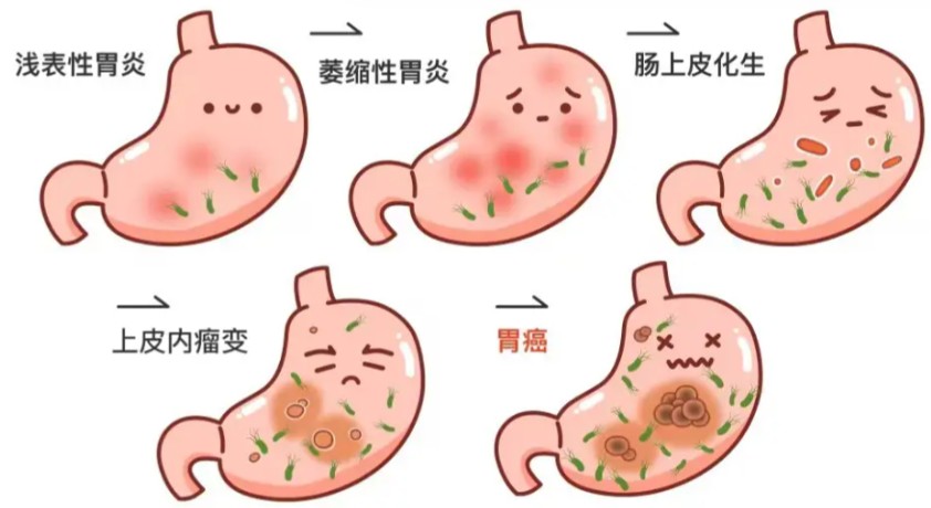 1786617308828221.jpg 屏幕截图 2026-08-13 144047.jpg