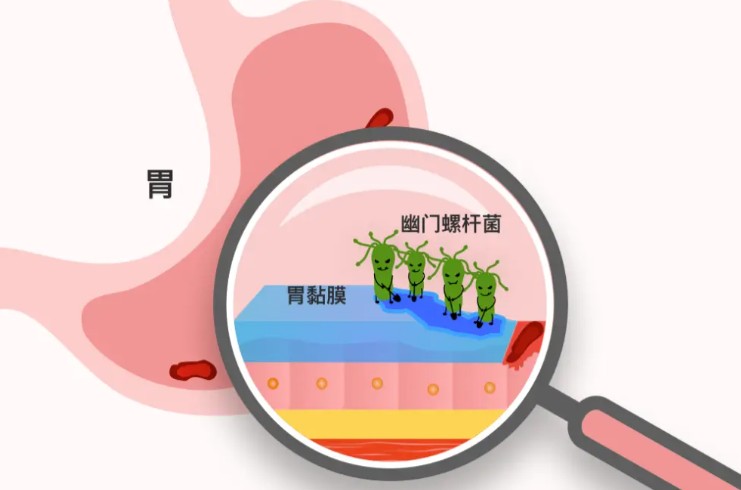 1786617317948620.jpg 屏幕截图 2026-08-13 144107.jpg