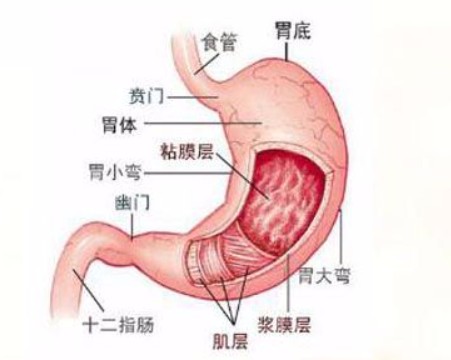 1786688901205360.jpg 屏幕截图 2026-08-14 112316.jpg