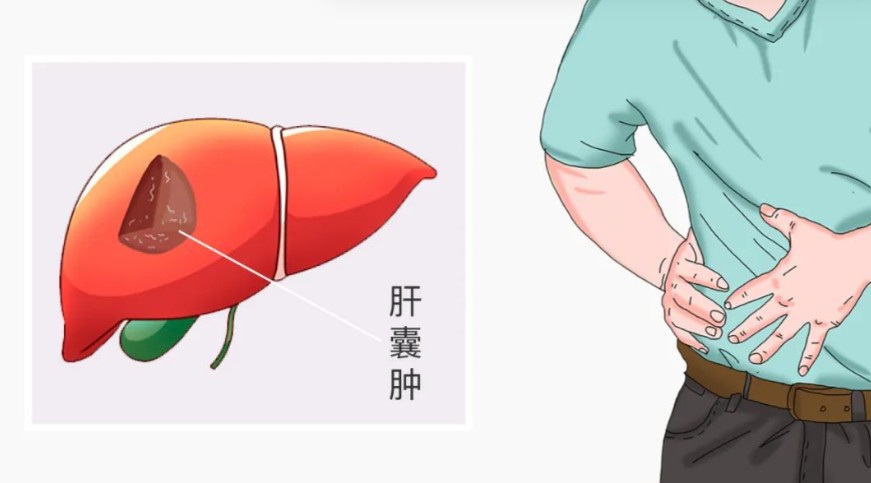 1787046258902656.jpg 屏幕截图 2026-08-14 115736.jpg