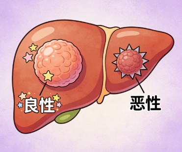 1787047553445361.jpg 屏幕截图 2026-08-14 130215.jpg