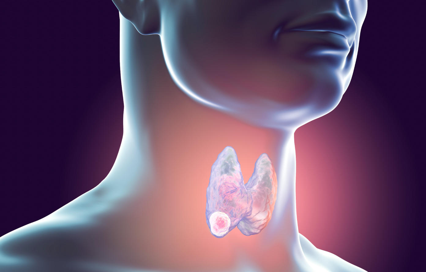 1787106582856981.jpg ScreenShot_2026-08-03_155254_573.jpg