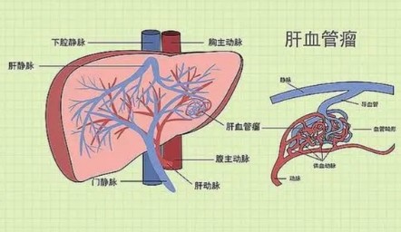 屏幕截图 2026-08-18 184910.jpg