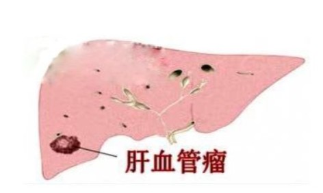 屏幕截图 2026-08-19 101045.jpg